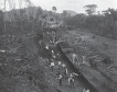 "Revelando o Contestado: imagens do mais sangrento conflito social do Brasil nas lentes do sueco Claro Jansson" (1877-1954)