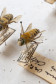 Exemplares de abelha da coleção de insetos do acervo do Departamento de Zoologia da UFPR, que farão parte da mostra "Ephemera/Perpétua". 