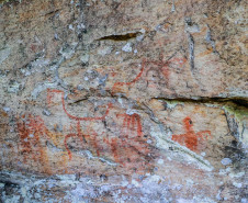 Cervos, araucárias e humanos: a pré-história do Paraná está nas paredes de Piraí do Sul