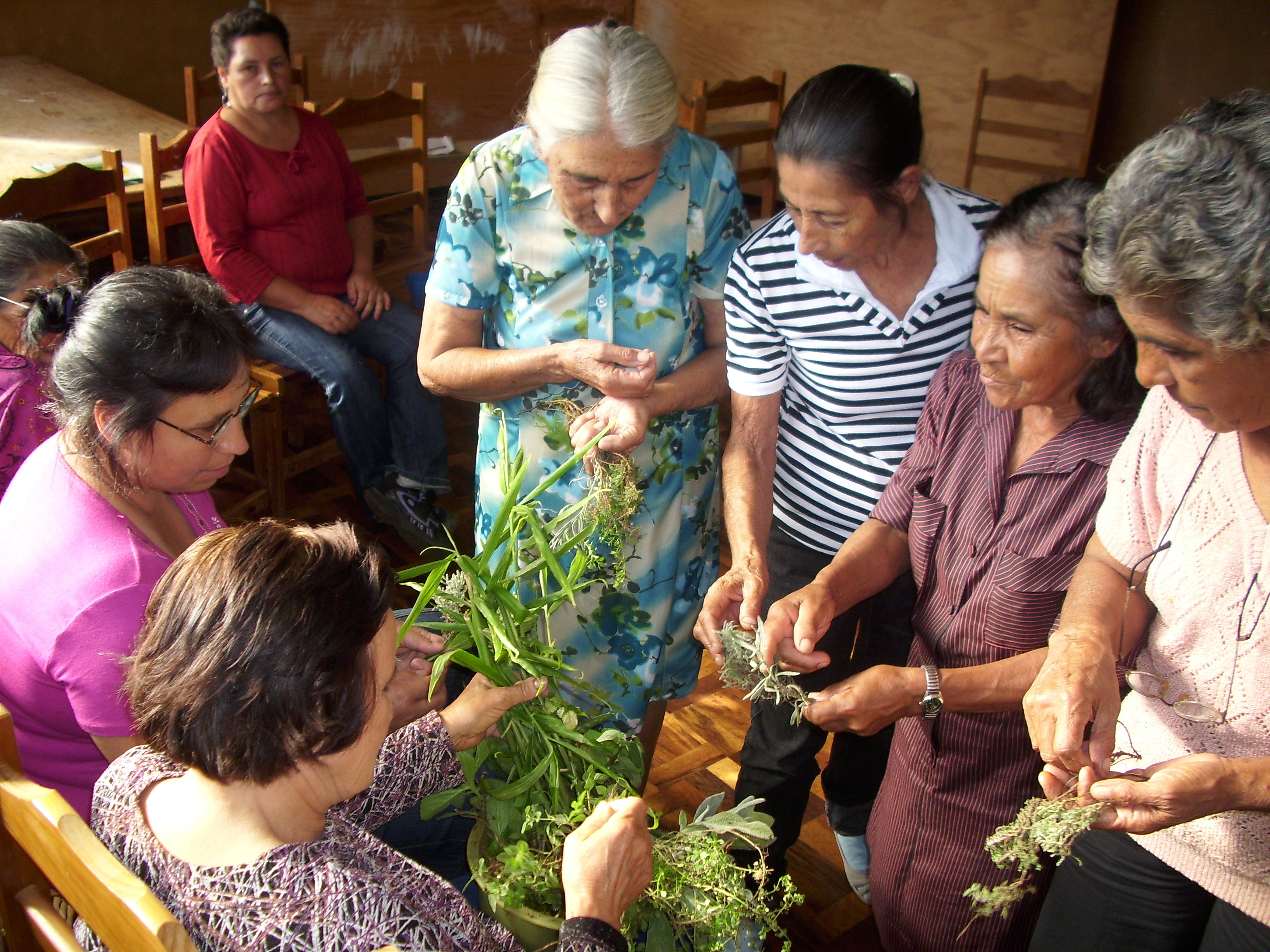 Encontro benzedeiras das comunidade Rio Bonito e Reboucas, troca de remédios