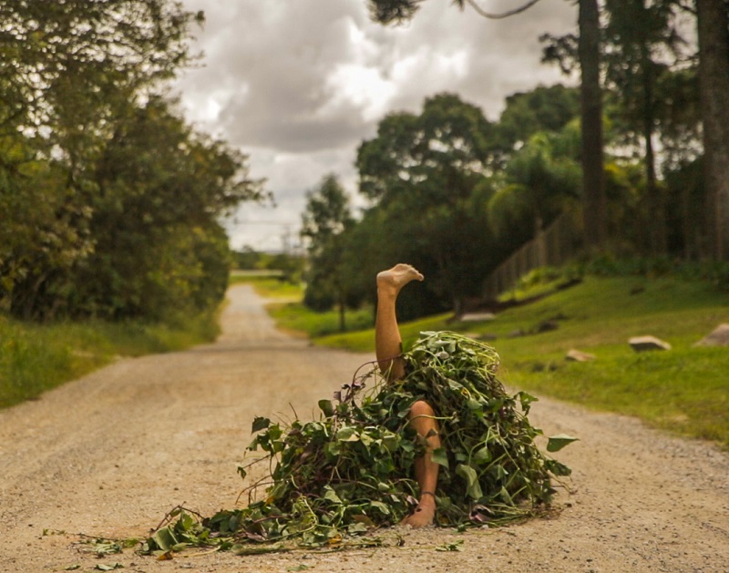 Polvo_foto_lecodesouza