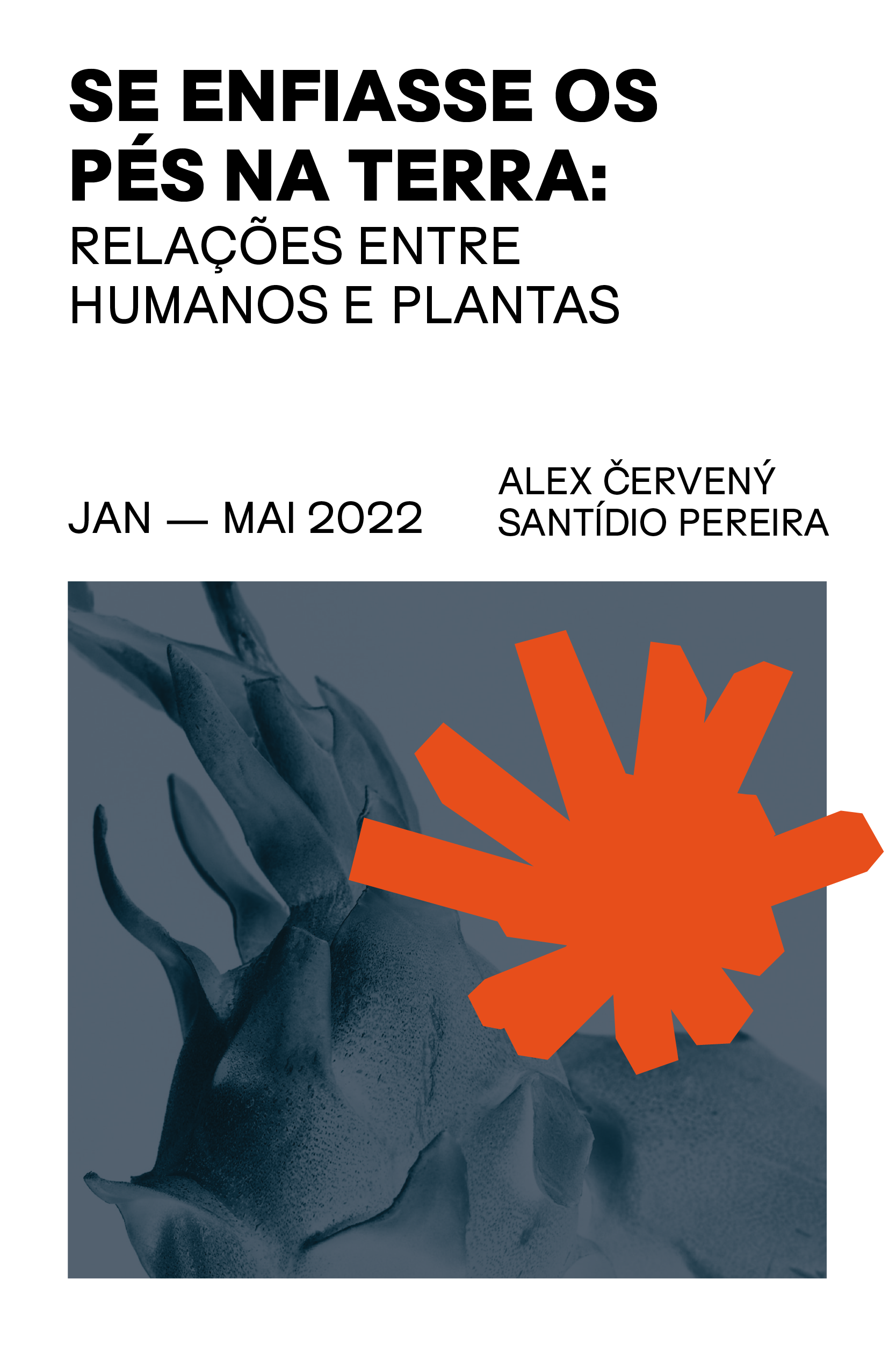 Exposição Programa Público "Se enfiasse os pés na terra: relações entre humanos e plantas"