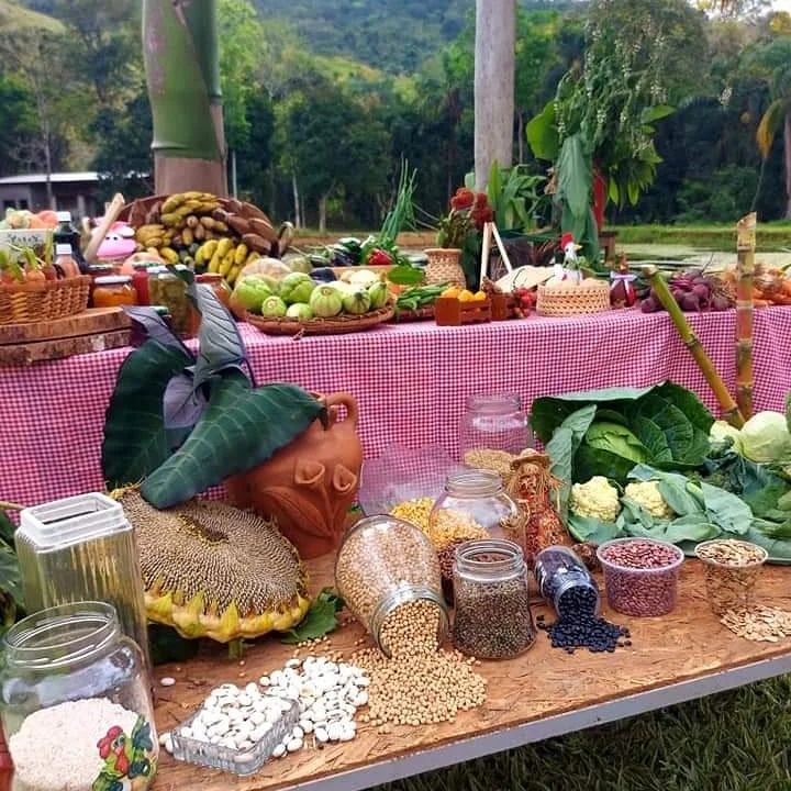 Feira de sementes quilombola