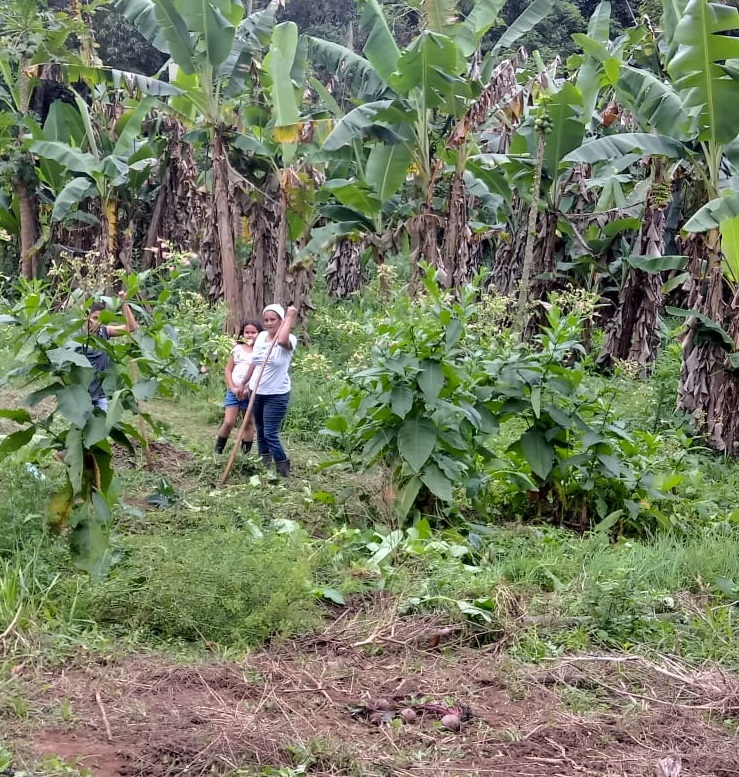 Comunidade quilombola Porto Velho