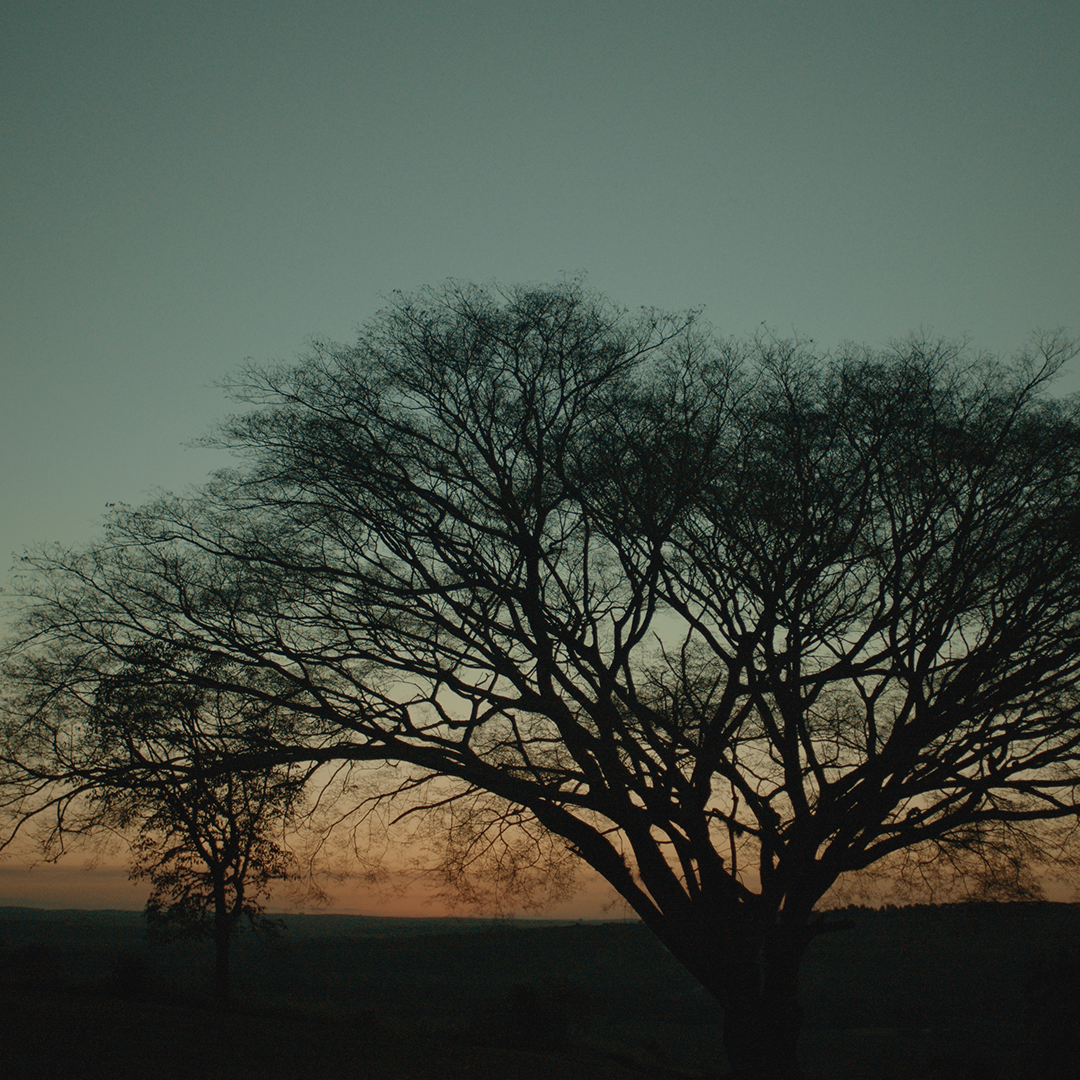 Exposição Nosso estado_Foto paisagem