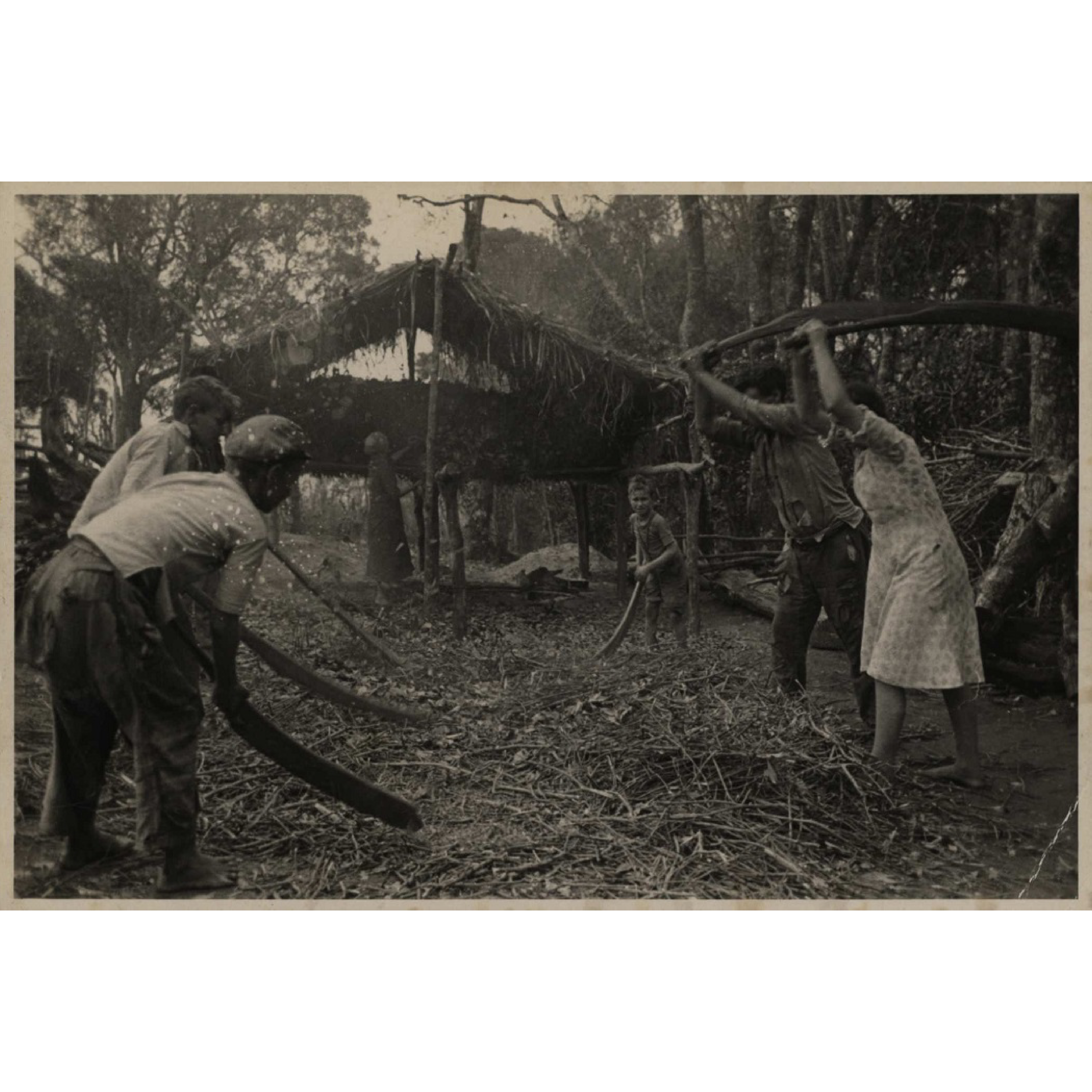 Vladimir Kozák. Serra do Mar - São José dos Pinhais/ Paraná. Fotografias sem título [Sapeco e trituração de erva-mate], s.d.