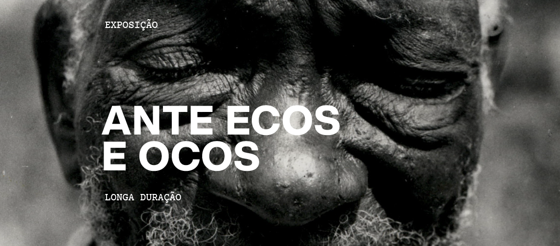Banner site exposição Ante ecos e ocos