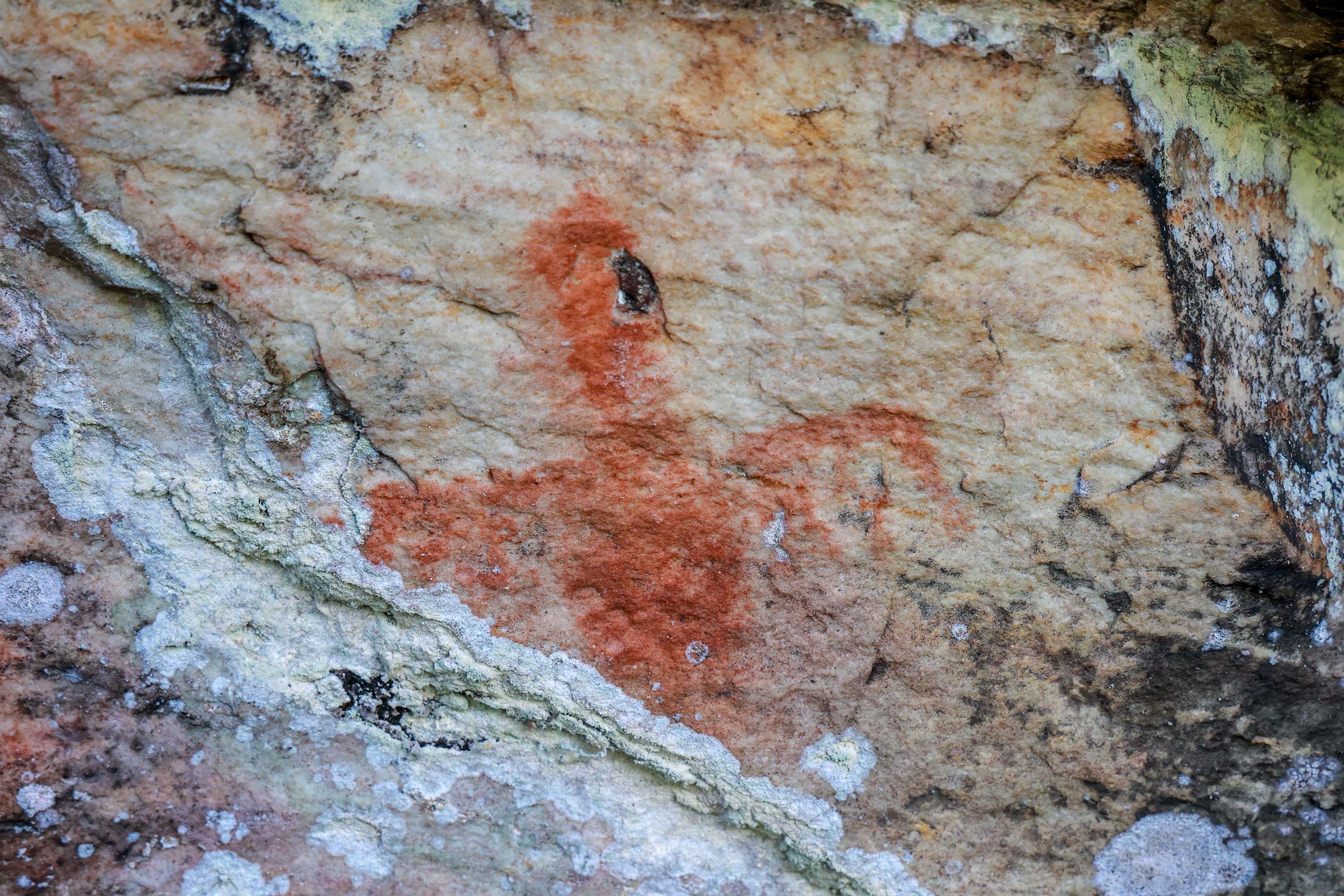 Cervos, araucárias e humanos: a pré-história do Paraná está nas paredes de Piraí do Sul