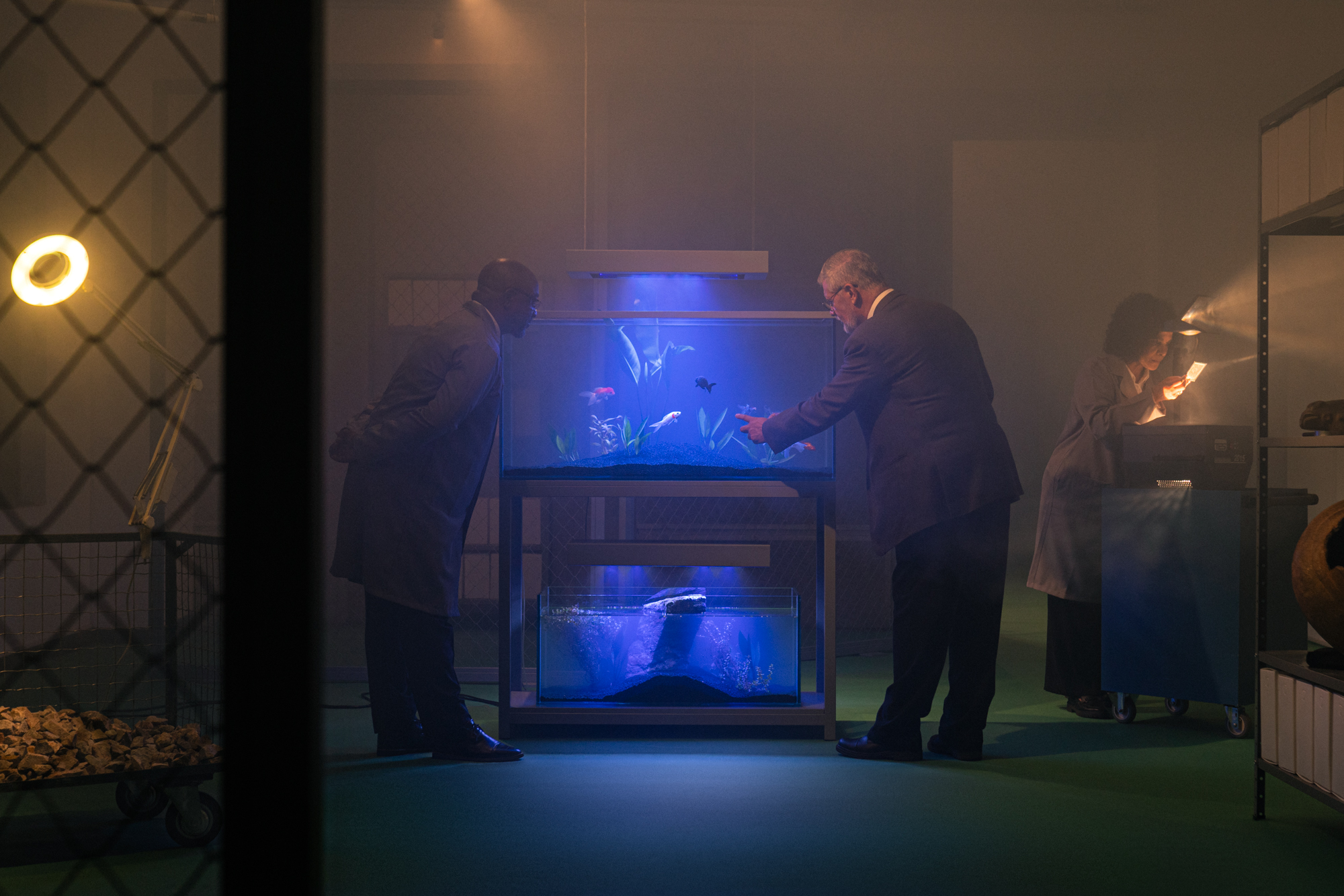 MUPA amplia atuação e fortalece pesquisa, educação e programação cultural em 2025