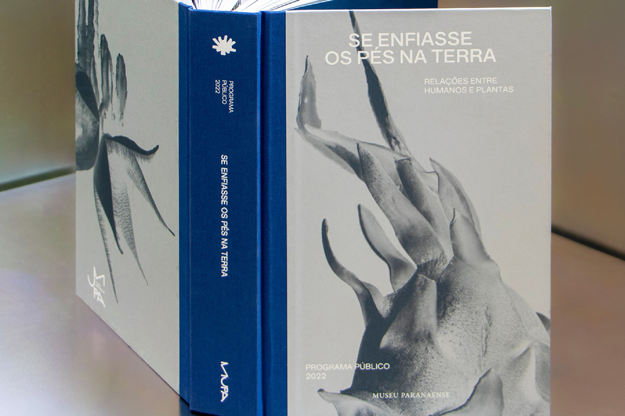 MUPA amplia atuação e fortalece pesquisa, educação e programação cultural em 2025