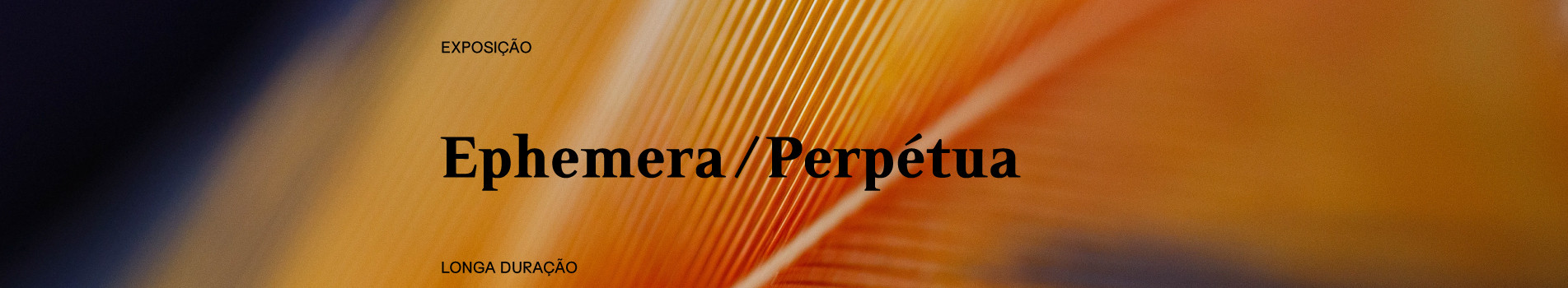 Banner exposição Ephemera/Perpétua