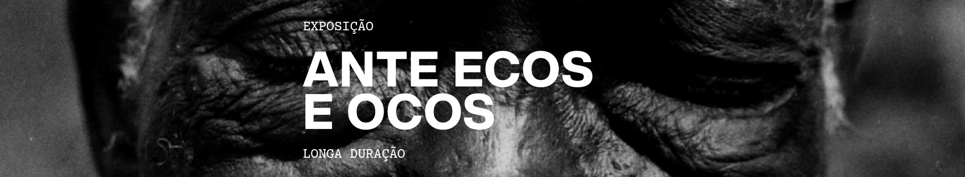 Banner superior exposição "Ante ecos e ocos"