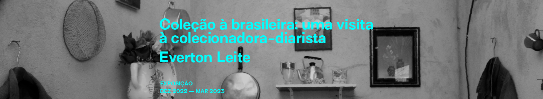 Banner superior Exposição Coleção à brasileira