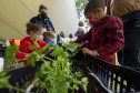 Oficina "Plantar o Amanhã: fazendo uma horta no museu" | Programa Público "Se enfiasse os pés na terra: relações entre humanos e plantas"