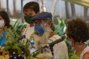 Roda de conversa "Plantas, cuidado e cura"