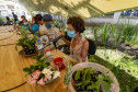 Roda de conversa "Plantas, cuidado e cura"