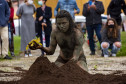 Performance "Ponto Final, Ponto Seguido" da artista indígena Uýra