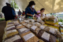 Feira de sementes quilombolas