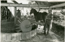 Vladimir Kozák. Serra do Mar - São José dos Pinhais/ Paraná. Sem título [Trituração de erva-mate com malhador], s.d.⠀Fotografia. Acervo Vladimir Kozák.