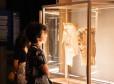 Fique por dentro das ações educativas do Programa Público no Museu Paranaense 