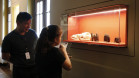 Fique por dentro das ações educativas do Programa Público no Museu Paranaense 