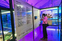 Obra exposta