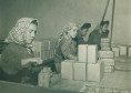 Exposição As Histórias das Mulheres a partir do Acervo do Museu Paranaense - Eixo Trabalho