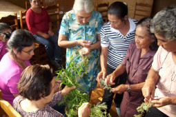 Encontro benzedeiras das comunidade Rio Bonito e Reboucas, troca de remédios
