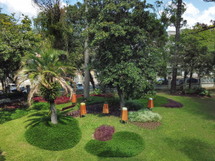 jardim do museu paranaense