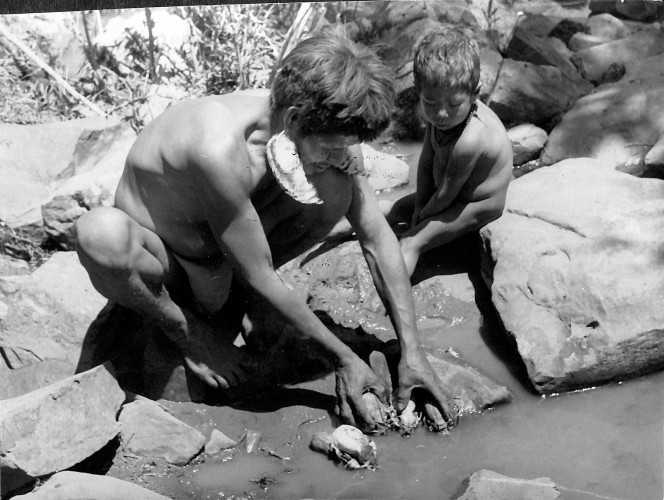 Museu Paranaense apresenta projeto que dá visibilidade à pesquisa científica