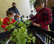 Oficina "Plantar o Amanhã: fazendo uma horta no museu" | Programa Público "Se enfiasse os pés na terra: relações entre humanos e plantas"