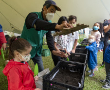 Oficina "Plantar o Amanhã: fazendo uma horta no museu" | Programa Público "Se enfiasse os pés na terra: relações entre humanos e plantas"