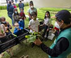 Oficina "Plantar o Amanhã: fazendo uma horta no museu" | Programa Público "Se enfiasse os pés na terra: relações entre humanos e plantas"