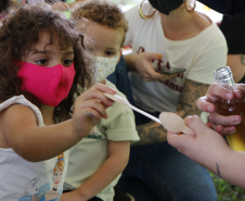 Oficina "Polinizando relações: abelhas e jardins" | Programa Público "Se enfiasse os pés na terra: relações entre humanos e plantas"