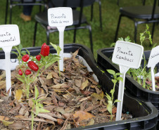 Roda de conversa "Agroecologia: entre práticas e vivências" | Programa Público "Se enfiasse os pés na terra: relações entre humanos e plantas"