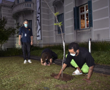 Mesa-redonda "Nessa terra, em se plantando, tudo dá: diálogos sobre arte, natureza e colonização"