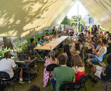 Roda de conversa "Plantas, cuidado e cura"