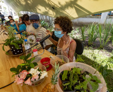 Roda de conversa "Plantas, cuidado e cura"