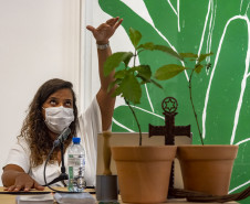 Mesa "Plantas de poder nas tradições e saberes ancestrais"