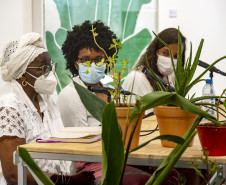 Mesa "Plantas de poder nas tradições e saberes ancestrais"