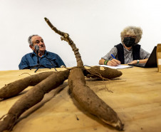 Roda de conversa "Mandioca: agrobiodiversidade na Amazônia e vivências caiçaras" com a pesquisadora Laure Emperaire e o farinheiro caiçara Gelico