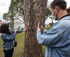 Palestra "Espaços públicos e arborização: planejando um futuro urbano mais verde" e Caminhada exploratória