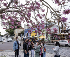 Palestra "Espaços públicos e arborização: planejando um futuro urbano mais verde" e Caminhada exploratória