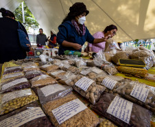 Feira de sementes quilombolas