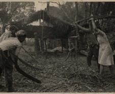 Vladimir Kozák. Serra do Mar - São José dos Pinhais/ Paraná. Sem título [Sapeco e trituração de erva-mate], s.d.⠀Fotografia. Acervo Vladimir Kozák.