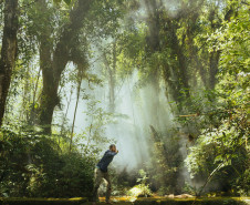 Foto: André Sanches