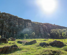 Cervos, araucárias e humanos: a pré-história do Paraná está nas paredes de Piraí do Sul