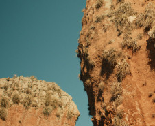 MUPA amplia atuação e fortalece pesquisa, educação e programação cultural em 2025