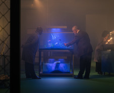 MUPA amplia atuação e fortalece pesquisa, educação e programação cultural em 2025