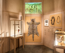 MUPA amplia atuação e fortalece pesquisa, educação e programação cultural em 2025